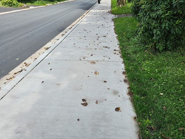 Cost of Sidewalk Renovation in De Pere